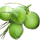 ডাবের পানি