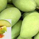 কাঁচা আম