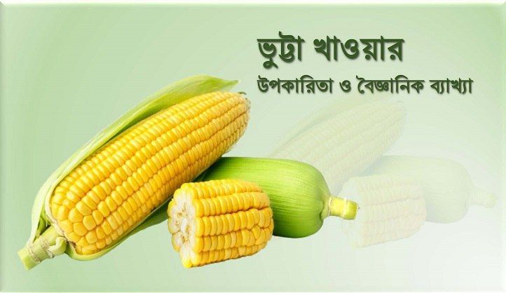 ভুট্টা খাওয়ার উপকারিতা