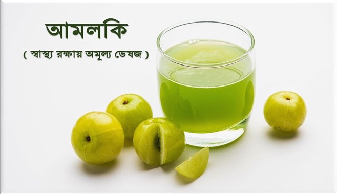 আমলকির উপকারিতা