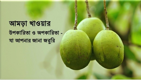 আমড়ার উপকারিতা
