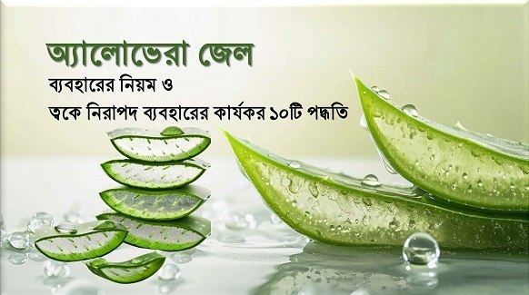 অ্যালোভেরা জেল ব্যবহারের নিয়ম