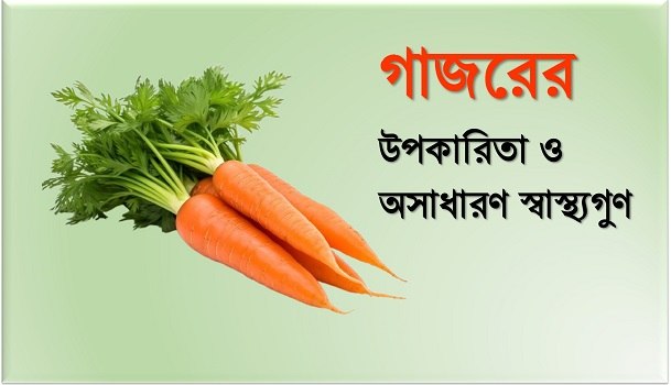 গাজরের উপকারিতা