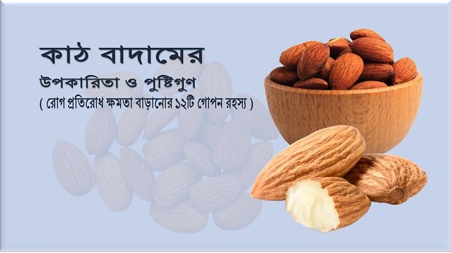 কাঠ বাদামের উপকারিতা