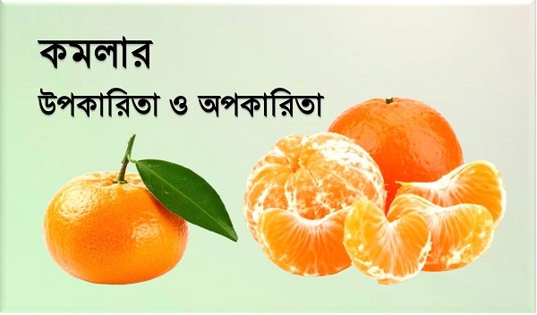 কমলার উপকারিতা ও অপকারিতা