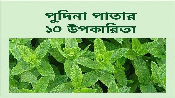 পুদিনা পাতার উপকারিতা