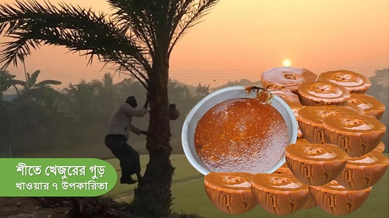 খেজুরের গুড়