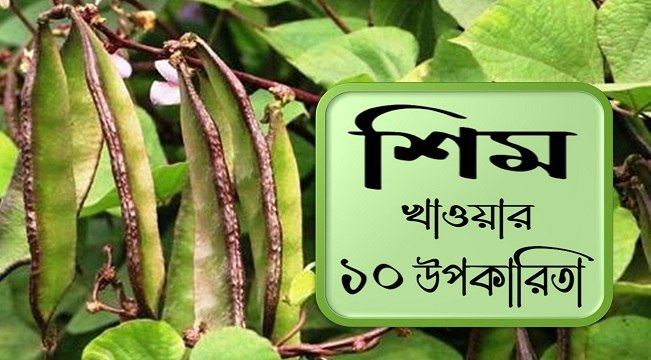 শিম খাওয়ার উপকারিতা