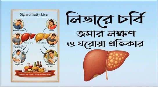 লিভারে চর্বি জমার লক্ষণ